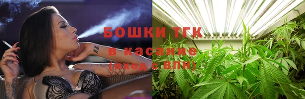 прущие крисы Нея