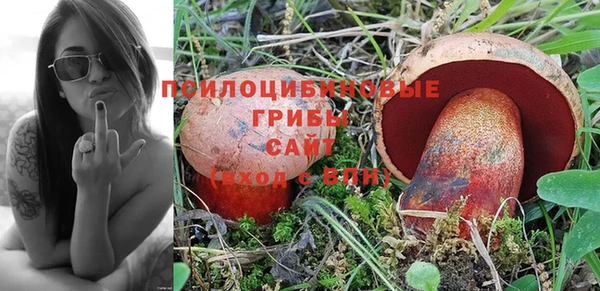прущие крисы Нея